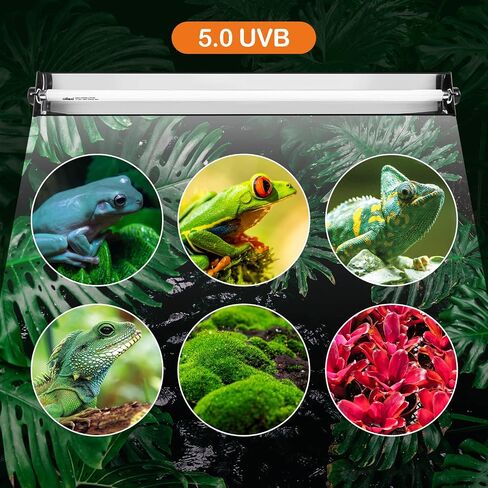Oiibo Reptile T5 UVB Lighting Combo Kit, Reptile Light Fixture with 24W Fluorescent 5.0 UVB Light Bulb for Reptiles High Output T5 HO UVB Reptile Light in Kuwait