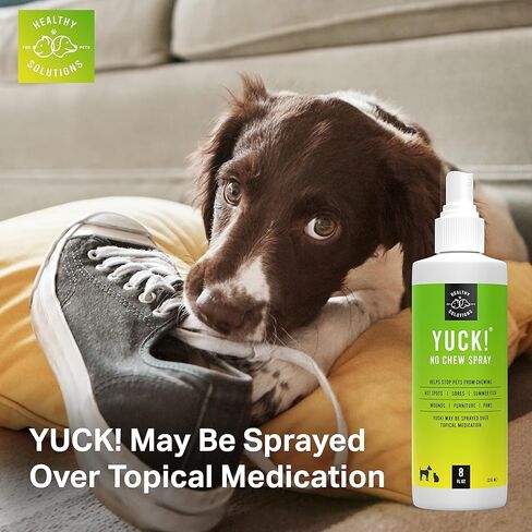 Bitter Spray for Dogs - No Chew Spray - Best No Bite Spray for Dog, Puppies, & Cats - Stop Pets from Chewing on Furniture, Paw, Wounds & More - Water Based Formula Does Not Sting or Stain in Kuwait