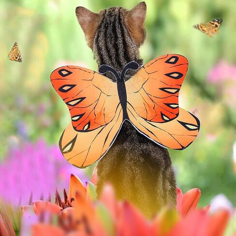 Butterfly Wings for Dogs Dog Halloween Costumes for Dogs, Cat Dog Butterfly Wings Cats Halloween Dog Costume Butterfly Dog Costumes, Christmas Halloween Dog Wings Butterfly Wings for Cats Small Dogs in Kuwait