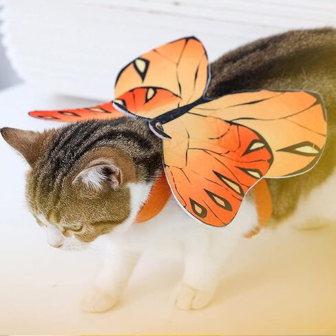 Butterfly Wings for Dogs Dog Halloween Costumes for Dogs, Cat Dog Butterfly Wings Cats Halloween Dog Costume Butterfly Dog Costumes, Christmas Halloween Dog Wings Butterfly Wings for Cats Small Dogs in Kuwait
