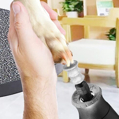 أداة تشذيب أظافر الكلاب من OVATAVO - أداة تزيين أظافر الكلاب من أجل Dremel - مرفق مطحنة أظافر الحيوانات الأليفة مقاس 1/8 بوصة للكلاب والقطط والحيوانات الصغيرة (2 لتر) in Kuwait
