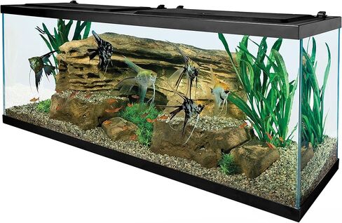 Tetra 55 Gallon Aquarium Kit with Fish Tank, Fish Net, Fish Food, Filter, Heater and Water Conditioners in Saudi Arabia