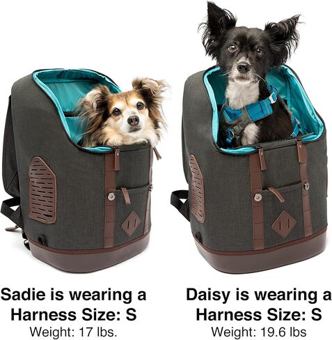 Kurgo Dog Carrier Backpack for Small Pets - Dogs & Cats | TSA Airline Approved | Cat | Hiking or Travel | Waterproof Bottom | G-Train | Ruck Sack | Heather Grey in Kuwait