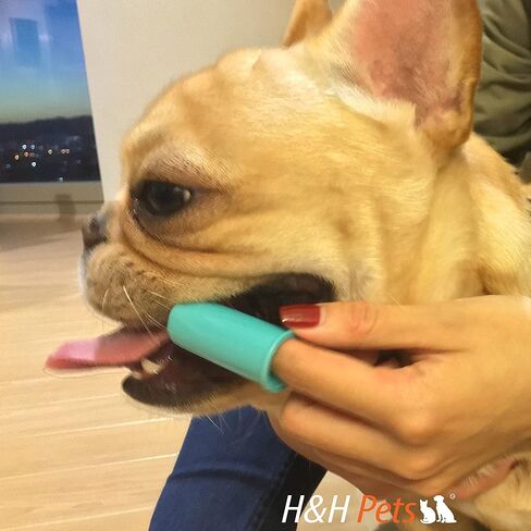 فرشاة أسنان H&H Pets للكلاب، أفضل فرشاة أسنان احترافية للقطط والكلاب، مجموعة فرش للكلاب من لوازم الجراء، مثالية للكلاب والقطط، فرشاة للقطط، شعيرات ناعمة للكلاب، مقاس صغير 4 قطع - سيليكون in Kuwait