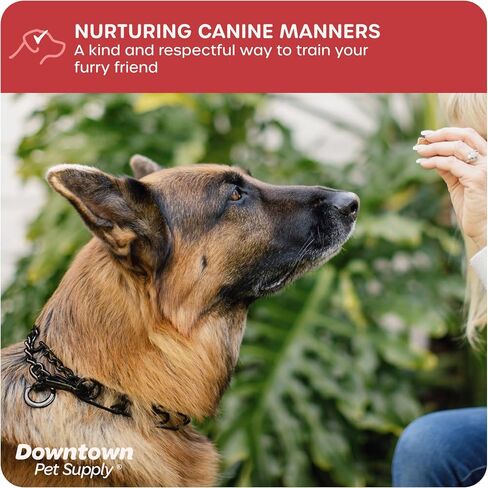 Downtown Pet Supply Chrome Plated Prong Collar for Dogs, Small - Adjustable, No-Choke and No Pull Dog Collar with Removable Links - Pinch Collar for Dogs Under 20 lbs and 14" Neck Width in Saudi Arabia