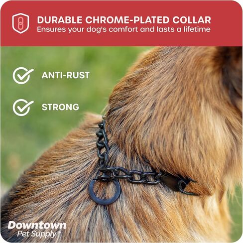 Downtown Pet Supply Chrome Plated Prong Collar for Dogs, Small - Adjustable, No-Choke and No Pull Dog Collar with Removable Links - Pinch Collar for Dogs Under 20 lbs and 14" Neck Width in Saudi Arabia
