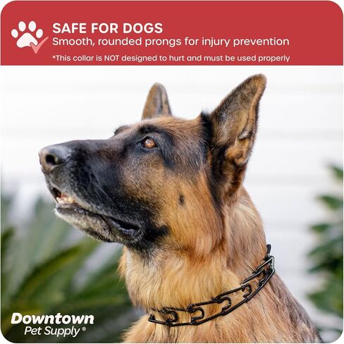 Downtown Pet Supply Chrome Plated Prong Collar for Dogs, Small - Adjustable, No-Choke and No Pull Dog Collar with Removable Links - Pinch Collar for Dogs Under 20 lbs and 14" Neck Width in Saudi Arabia