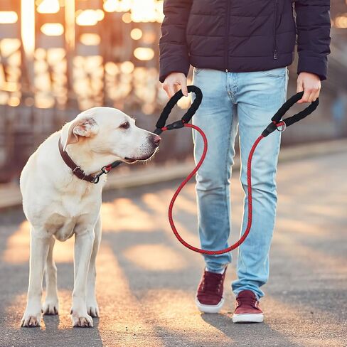 Dog Leash Traffic Double Padded Handles, Comfortable Reflective 2 Handle Strong Leashes Extra Training Control and Walking Lead for Heavy Duty Medium Large Dogs (Green, 0.4 inch) in Saudi Arabia