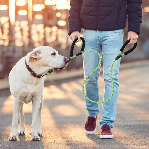 Dog Leash Traffic Double Padded Handles, Comfortable Reflective 2 Handle Strong Leashes Extra Training Control and Walking Lead for Heavy Duty Medium Large Dogs (Green, 0.4 inch) in Saudi Arabia