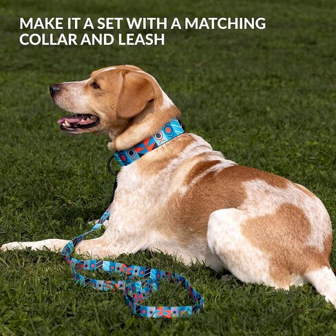 CollarDirect Dog Muzzle - Adjustable Soft Breathable Tribal Nylon Dog Mouth Guard Cover for Small, Medium and Large Dogs, Anti Chewing, Barking & Biting (Pattern 1; S) in Kuwait