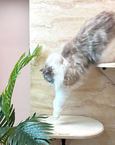 Nekosan Cat Window Perch, Cat Hammock Window Seat for Indoor Cats, Sturdy Cat Bed, Made of Solid Wood, Beige in Kuwait