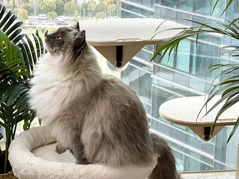 Nekosan Cat Window Perch, Cat Hammock Window Seat for Indoor Cats, Sturdy Cat Bed, Made of Solid Wood, Beige in Kuwait