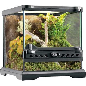 Exo Terra Glass Natural Terrarium Kit, for Reptiles and Amphibians, Nano Tall, 8 x 8 x 12 inches, PT2601A1 in Kuwait