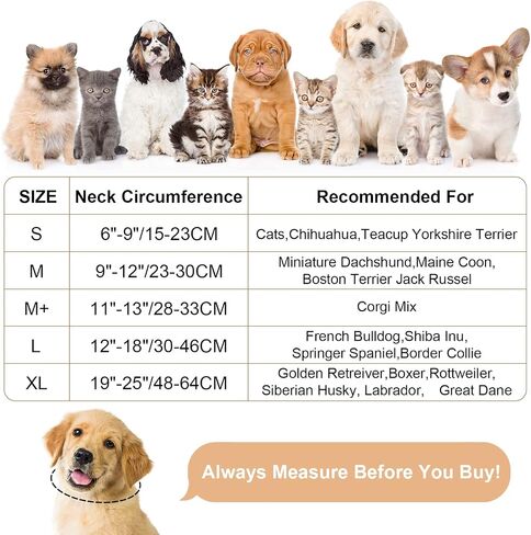 Jspupifip Inflatable Dog Cone Collar,Recovery Collar Protective Collar wtih Enhanced Anti-Licking,Adjustable Soft E-Collar After Surgery for Dog and Cat(Purple,M+,Neck:11-13 in) in Saudi Arabia