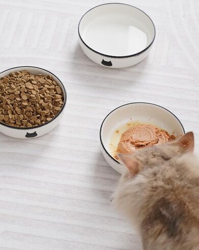 Getstar Cat Bowls, Ceramic Cat Food Bowl Set of 3, Shallow Cat Dishes for Food and Water, 5.5" Whisker-Friendly Cat Feeding Bowls in Kuwait