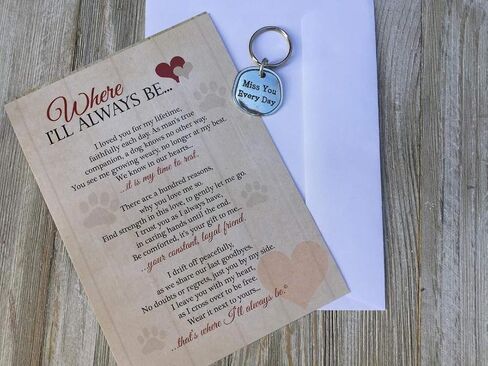 Where I'll Always Be Pet Loss Sentiment with Keychain - Heartfelt Pet Sympathy/Pet Memorial Gift (Cat) in Saudi Arabia