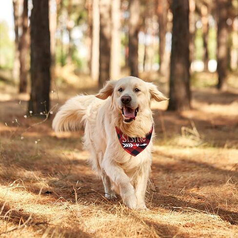 Rose Red and Lake Blue Plaid Dog Bandana Scarf, 2 Packs Soft Cotton Big Sister Dog Bandana Adjustable Triangle Pet Scarf for Small Medium Dogs Pets in Saudi Arabia