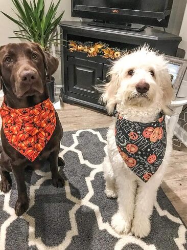 2 Pack Halloween Dog Bandana Reversible Triangle Bibs Scarf Accessories in Saudi Arabia