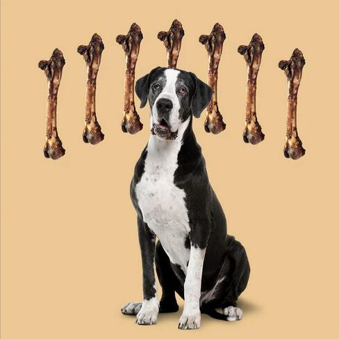 Roam Pet Treats Large Roo Chopper - مضغ عظمة الكنغر النائية للكلاب، مكون واحد، طبيعي بالكامل، خالي من الحبوب، وخالي من الغلوتين in Saudi Arabia