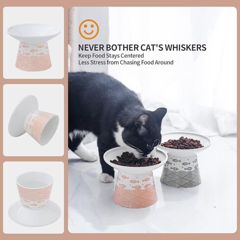 6.25 Inch Extra Wide Elevated Ceramic Cat Bowls, Food and Water Bowl Set for Elder Big Cats Small Dogs, Raised Design for Pet Easy Eating, Protect Cat's Spine, Black & Orange, Set of 2 in Saudi Arabia