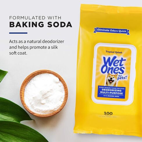 Wet Ones for Pets Desmellizing Multi-Purpose Dog Wipes with Baking Soda Dog Desmellizing Wipes for All Dogs in Tropical Splash Scent, Wet Ones Wipes for Desmellizing Dogs (Pack of 12,1200 Count Total) in Saudi Arabia