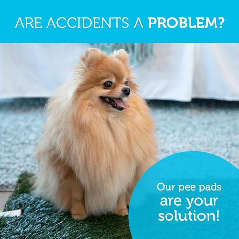 Dog Grass Pee Pad Potty - Artificial Grass Patch for Dogs - Pet Litter Box Training Pads Best for Puppy Indoor Turf - Fresh Fake Porch Lawn Toilet Mat Bathroom Tray - Doggie Trainer Balcony Patio Mats in Kuwait