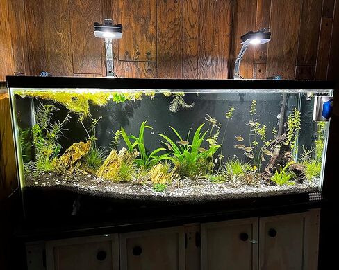 Lominie LED Aquarium Light, Planted Tank Light 4 Channels Remote Control 6500K Aquarium LED Light for Freshwater Fish Tank Refugium with Gooseneck (A20 18W Freshwater) in Kuwait