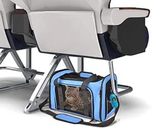 Cat Carrier Dog Carrier Pet Carrier Cat Bags for Small Medium Cats Dogs Puppies of 15 Lbs,of Airline Approved Small Dog Bag Soft Sided,Collapsible Travel Puppy Carrier (Medium, Black) in Kuwait