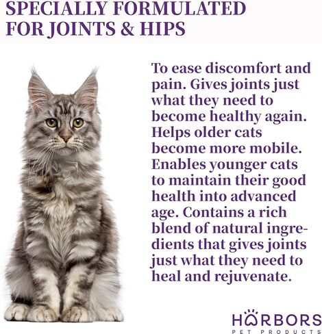 Harbor's Cat Hip Helper - Cat Joint Supplement Liquid for Fast Pain Relief, Smooth Younger Hips. Natural Nutrients, Glucosamine, MSM, Chondroitin, Hyaluronic Acid, Yummy Organic Beef Flavor - 59 ml in Kuwait