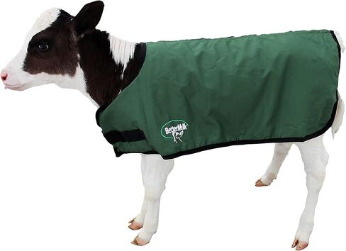 BetterMilk Calf Coats Waterproof Livestock Protector Pro Calf Blanket, Calf Warmer - Large Holstein Size - Green in Saudi Arabia
