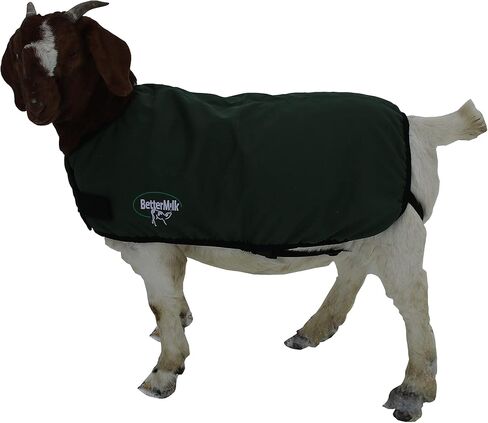 BetterMilk Calf Coats Waterproof Livestock Protector Pro Calf Blanket, Calf Warmer - Large Holstein Size - Green in Saudi Arabia
