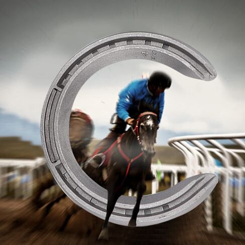 Hidyliu 4 قطعة سبائك الألومنيوم حدوة الحصان عدة أدوات ركوب الخيل ملحقات معدات حدوة الحصان (الحجم 4) in Kuwait