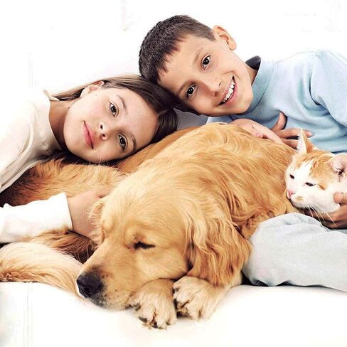 BestPet Foldable Pet Stroller for Small/Medium Dogs and Cats Up to 33 lbs in Saudi Arabia