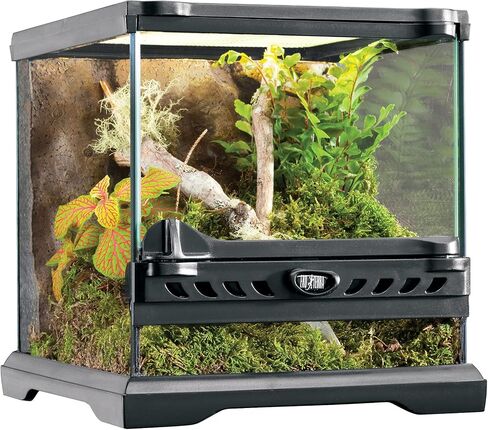 Exo Terra Glass Natural Terrarium Kit, for Reptiles and Amphibians, Nano Tall, 8 x 8 x 12 inches, PT2601A1 in Kuwait