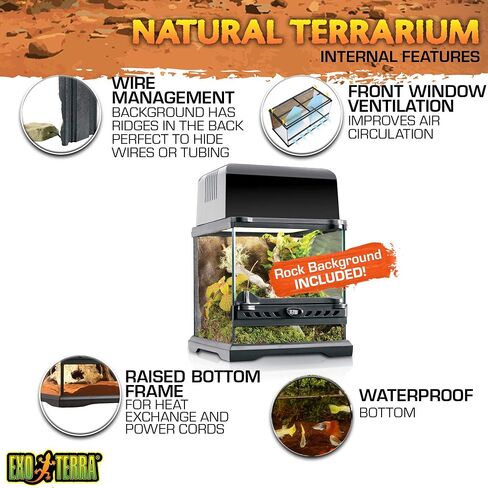 Exo Terra Glass Natural Terrarium Kit, for Reptiles and Amphibians, Nano Tall, 8 x 8 x 12 inches, PT2601A1 in Kuwait