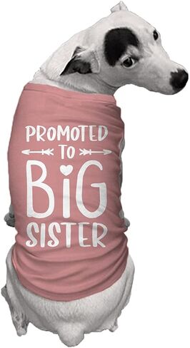 Promoted to Big Sister - Dog Shirt (Black, X-Small) in Saudi Arabia
