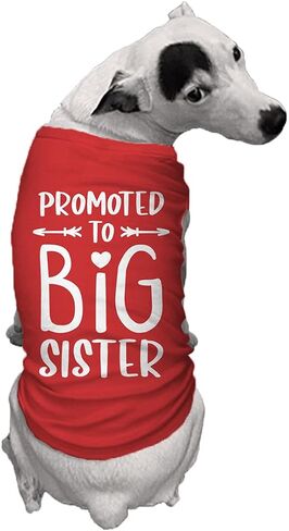 Promoted to Big Sister - Dog Shirt (Black, X-Small) in Saudi Arabia