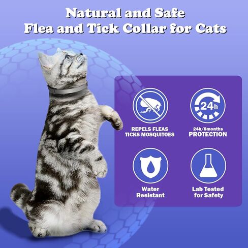 Cadorabo Flea and Tick Collar for Cats Kittens, 8 Months of Cat Flea Collar Protection 2 Collars Made with Premium Plant Based Essential Oil Waterproof and Natural Treatment Prevention Free Comb in Kuwait