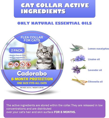Cadorabo Flea and Tick Collar for Cats Kittens, 8 Months of Cat Flea Collar Protection 2 Collars Made with Premium Plant Based Essential Oil Waterproof and Natural Treatment Prevention Free Comb in Kuwait
