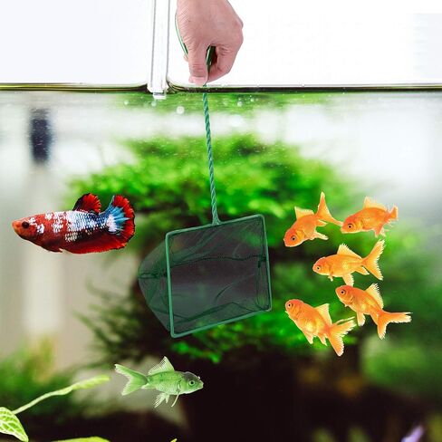 Lpraer 6 Inch Aquarium Fish Net Green Fine Mesh Nylon Net Collection with 11" Long Handle Square Quick Catch Fish Net for Fish Tank in Kuwait