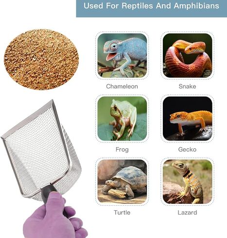 SUMHEN 3PCS Reptile Stainless Steel Fine Mesh,Litter Cleaner Corner Scoop Sand Sifter,Reptile Scooper Bearded Dragon Sand Shovel,Reptile Habitat Sifting Scoopers in Saudi Arabia