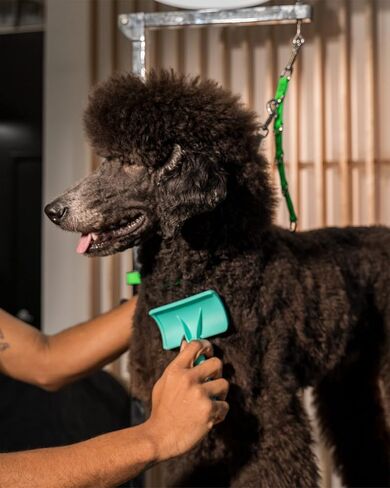 Jelly Pet Slicker Brush and Chris Christensen Finishing Spray Grooming Bundle - Universal Slicker Brush, Hard Pins, Large, Teal - Ice on Ice Detangler & Finishing Spray, Ready to Use, 16 oz in Saudi Arabia