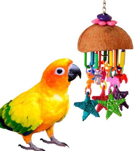 Super Bird Creations SB896 Seeing Stars Bird Toy, Small/Medium Bird Size, 9.5" x 3.5" in Saudi Arabia