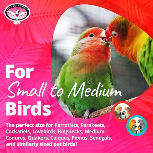 Super Bird Creations SB896 Seeing Stars Bird Toy, Small/Medium Bird Size, 9.5" x 3.5" in Saudi Arabia