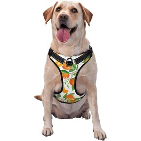 السوشي لا سحب الكلب تسخير للكلاب الكبيرة لا سحب المقود الكلب، قابل للتعديل كبير الكلب تسخير عاكس سترة الكلب تسخير، من السهل المشي الكلب تسخير للكلاب المتوسطة لا سحب تسخير الحيوانات الأليفة in Kuwait