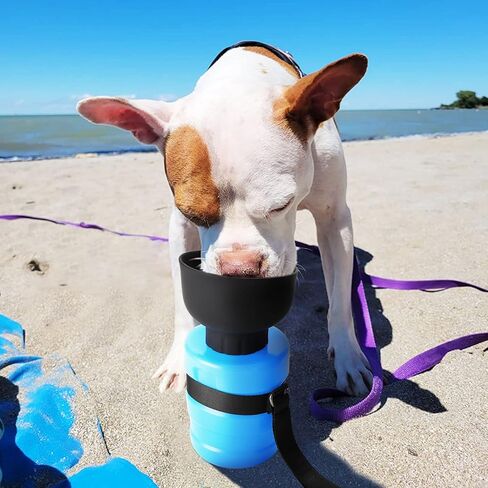 زجاجة مياه محمولة للكلاب مع حزام طويل، زجاجة مياه للسفر للكلاب سعة 28 أونصة مقاومة للتسرب وقابلة للطي وموزع وعاء مياه للحيوانات الأليفة للمشي في الهواء الطلق والمشي لمسافات طويلة وإكسسوارات سفر للكلاب قابلة للطي وخالية من مادة BPA in Kuwait