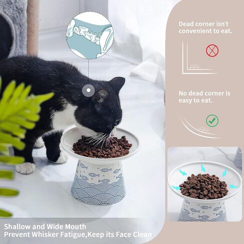 أوعية طعام القطط المرتفعة من السيراميك مقاس 6.25 بوصة، طبق الحيوانات الأليفة المرتفع من البورسلين مع حامل، مضاد للقيء، يمنع تعب الشارب، يحمي العمود الفقري للحيوانات الأليفة للقطط الكبيرة الأكبر سنًا، عبوتان (أزرق) in Kuwait