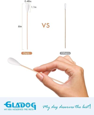 GLADOG 6 Inch Professional Large Cotton Buds for Dogs, Specially Designed Dog Cotton Buds with Wood Handle, Large Means Safe in Kuwait