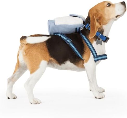 حقيبة ظهر للكلاب من يولي عاجية شيربا، كبيرة/كبيرة جدًا in Kuwait