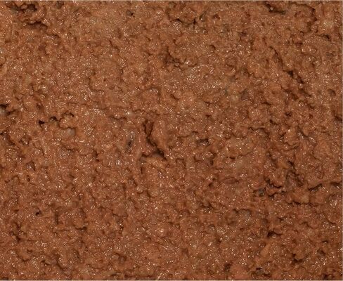 Wysong Epigen™ Salmon Canned Dog & Cat Food in Saudi Arabia